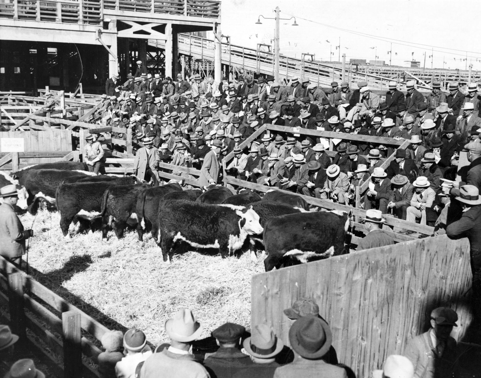 Union Stockyards